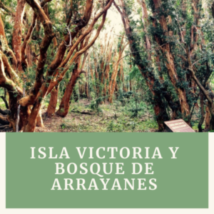 ? Isla Victoria y bosque de Arrayanes, ¡Conocé todos los secretos!